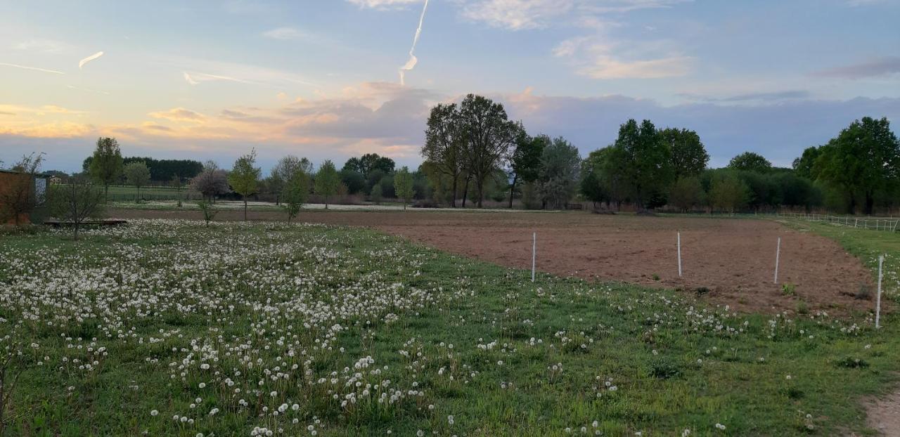 CASCINA LAI - Oasi Naturalistica - Camere private Santena Esterno foto