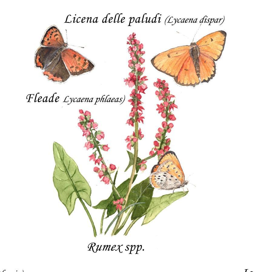 CASCINA LAI - Oasi Naturalistica - Camere private Santena Esterno foto